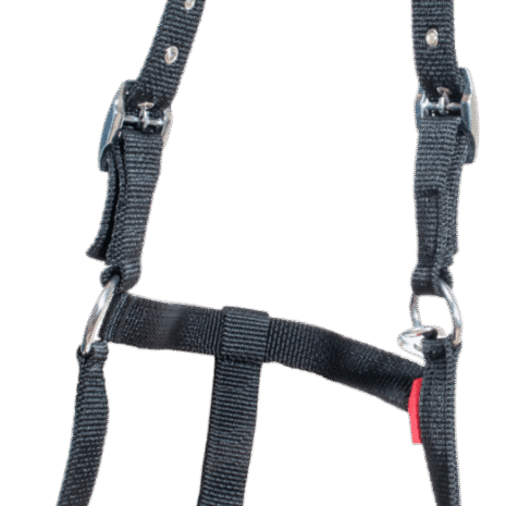 k316-bla-2 k316-bla-2