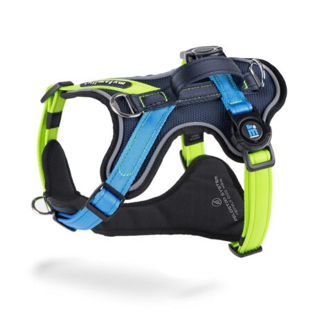 pettorina-h-memopet-color-block