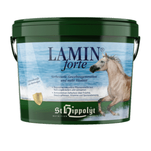 ST. HIPPOLYT LAMIN FORTE 3KG.