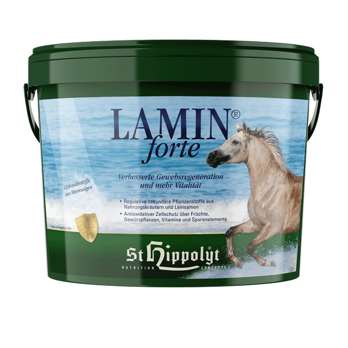 ST. HIPPOLYT LAMIN FORTE 3KG.