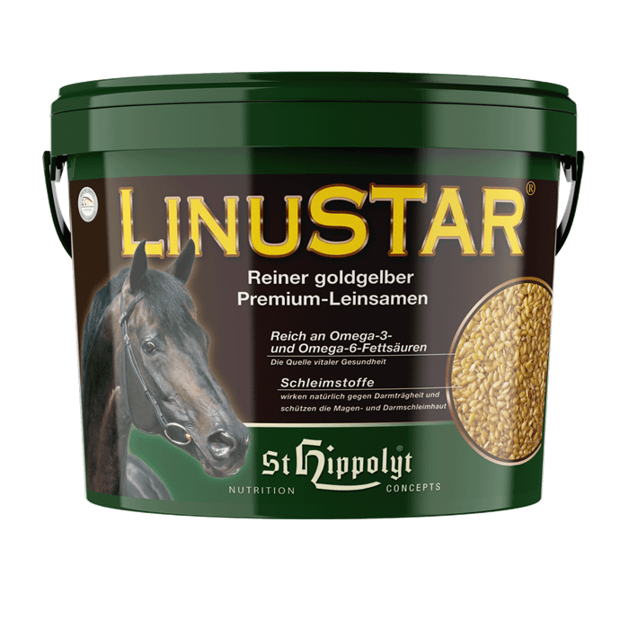 ST. HIPPOLYT LINUSTAR - FLEIRI STØDDIR
