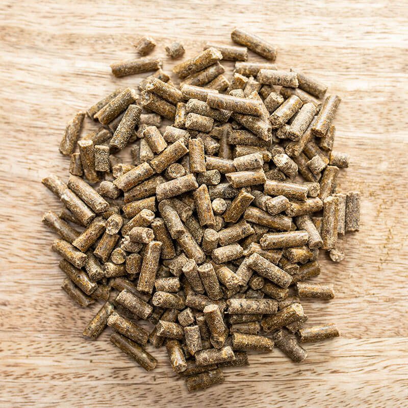 ST. HIPPOLYT HIGH PERFORMER 3KG. - Image 2