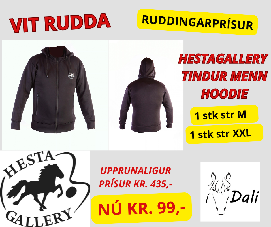 HESTAGALLERY TINDUR MENN, HOODIE V. LÝNLÁS, SVØRT -FLEIRI STØDDIR